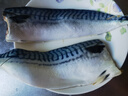禧美海產(chǎn) 冷凍挪威青花魚片凈重2斤 獨立包裝2-4袋 去臟日料烤魚 海鮮 曬單實拍圖