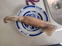 美加佳 鮮凍整只大魷魚（2-3只） 凈重550g 整條魷魚 深海捕撈 海鮮水產(chǎn) 曬單實(shí)拍圖