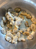 獐子島 蜆子肉1斤 去殼去沙蛤蜊肉花甲肉 生鮮海鮮水產(chǎn)貝類(lèi)火鍋燒烤食材 曬單實(shí)拍圖
