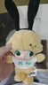 泡泡瑪特POPMART DIMOO WORLD 迪士尼系列 官方正品搪膠毛絨公仔潮玩盲盒 【DIMOO】布魯托的房子-確認(rèn)款 【官方正品 順豐包郵】 曬單實拍圖