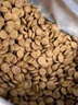 法米娜進(jìn)口蘋果豬肉成貓糧1.5kg 無(wú)谷高蛋白增肥發(fā)腮貓糧效期25.12 曬單實(shí)拍圖