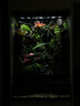 特姆得德國(guó)拜耳殺蟲(chóng)藥花卉植物月季花病常見(jiàn)蟲(chóng)害小飛蟲(chóng)蚜蟲(chóng)紅蜘蛛家用劑 植物花卉殺蟲(chóng)（只殺蟲(chóng)不傷花葉） 曬單實(shí)拍圖