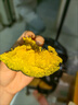 京鮮匠【JD快遞】（JD金榜TOP1）山東貝貝南瓜 栗香小南瓜粉糯 產(chǎn)地直發(fā) JD快遞 實惠裝 凈 4.5斤 （4-9個） 曬單實拍圖