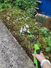 閑鳥電動(dòng)割草機(jī)打草機(jī)除草機(jī)充電式大功率草坪修剪機(jī)農(nóng)用續(xù)航強(qiáng)割灌機(jī) 128VF【兩電30包】無刷感大功率 家用鋰電充電除草工具神器剪草機(jī) 曬單實(shí)拍圖