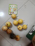 欽蜜9號(hào)黃金百香果當(dāng)季新鮮水果鵬茂生鮮禮物現(xiàn)摘現(xiàn)發(fā) 【小果】10粒 曬單實(shí)拍圖