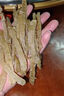 同仁堂沙蟲干500·g一斤特級(jí)湛江特產(chǎn)沙蟲干海鮮干貨海腸干散裝煮粥煲湯 大號(hào)灰沙蟲干 約50-60條【夠大且實(shí)惠】 曬單實(shí)拍圖