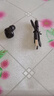 點(diǎn)金石藍牙耳機無(wú)線(xiàn)超長(cháng)續航入耳式降噪運動(dòng)跑步游戲適用于華為oppo一加vivo真我榮耀iqoo紅米手機學(xué)生用 X8【1個(gè)單耳+充電線(xiàn)【無(wú)充電倉】 曬單實(shí)拍圖