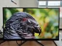 AOC 27英寸2K 240Hz超頻260Hz FastIPS 0.3ms HDR400硬件低藍(lán)光 FPS游戲電競(jìng)顯示器 宙斯盾Q27G4Z 曬單實(shí)拍圖