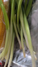 大希地國(guó)潮炸大雞腿220g*3 烤雞腿排雞肉半成品 空氣炸鍋食材大雞腿 曬單實(shí)拍圖