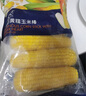 京鮮生 浦之靈冷凍黃糯糖心玉米棒1.98kg(6根)/袋非轉基因東北粘甜玉米 曬單實(shí)拍圖
