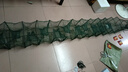 京品魚蝦網(wǎng)籠地網(wǎng)籠龍蝦網(wǎng)地龍魚網(wǎng)籠漁網(wǎng)捕魚網(wǎng)籠蝦籠黃鱔籠甲魚籠 3.4米17節(jié)10門+贈品(今天發(fā)貨) 曬單實拍圖