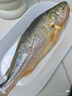 產(chǎn)地直采寧德冰鮮黃花魚(yú)400g-500g/條 曬單實(shí)拍圖