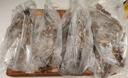 舟山梭子蟹鮮活特大野生大螃蟹新鮮冷凍海鮮水產(chǎn)海蟹飛蟹白蟹順豐 7-9兩/只【5斤凈重 特大肥壯】 曬單實(shí)拍圖