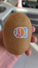 佳沛（zespri）新西蘭  陽光金果10粒巨大果單果約144-175g 中秋水果禮盒 獼猴桃 曬單實拍圖