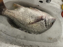漁之源可調節地插炮臺座魚(yú)竿支架座炮臺桿架插地架竿器釣魚(yú)1個(gè)裝 曬單實(shí)拍圖
