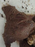 1號會(huì )員店M3澳洲安格斯牛腱子(不含腱子芯)  低脂健身生鮮牛肉 凈含量2斤 曬單實(shí)拍圖