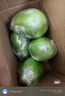 新鮮青茄子軟糯香甜皮薄肉厚新鮮蔬菜生鮮湘菜必備炒菜 青茄子 3斤 曬單實(shí)拍圖