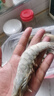 東上御品 國產(chǎn)青島大蝦 特大號白蝦 2030規格 凈重3斤 盒裝活凍 曬單實(shí)拍圖