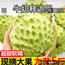 采緹（CAITI）釋迦果釋迦大果牛奶鳳梨釋迦果 釋迦果大果新鮮水果熱帶水果整箱 三斤精選大果裝（4-6） 曬單實(shí)拍圖