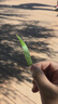 七匹狼腰帶牛皮內穿自動(dòng)扣男士皮帶送男友老公送爸爸生日禮物 曬單實(shí)拍圖