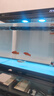 森森超白玻璃魚缸一體缸自循環(huán)免安裝XHE-480(黑) 曬單實(shí)拍圖