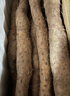 京鮮生 河南焦作溫縣壚土鐵棍山藥凈重5斤 單根40cm+ 蔬菜 源頭直發(fā) 曬單實(shí)拍圖