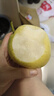 京覓河北皇冠青梨凈重3斤裝單果250g+新鮮水果 產(chǎn)地直發(fā) 曬單實(shí)拍圖