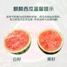 【產(chǎn)地直采】麒麟奶油西瓜 約4.5kg 曬單實(shí)拍圖