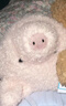 Jellycat小豬包包動(dòng)物毛絨玩偶斜挎包腰包玩具娃娃公仔生日新婚禮物 小豬包包 One Size 曬單實(shí)拍圖