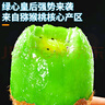 京地達陜西徐香獼猴桃綠心奇異果凈重4斤單果100g+新鮮水果源頭直發(fā)包郵 曬單實(shí)拍圖