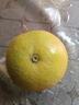品聲正宗重慶奉節(jié)倫晚臍橙新鮮橙子當(dāng)贛季南時令孕婦水果手剝橙秭歸 凈重4.5斤70-75mm 曬單實拍圖
