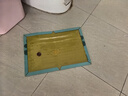 蟲(chóng)小將粘鼠板大號超強力捕捉器沾捕鼠神器家用全自動(dòng)滅鼠一窩端5片 曬單實(shí)拍圖
