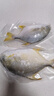 翔泰 海南金鯧魚凈重900g 2條裝  魚類生鮮 燒烤 火鍋食材 海鮮水產(chǎn) 曬單實拍圖