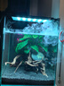 尼特利AT5S水草燈530S三代專業(yè)級全光譜led伸縮魚缸燈專用植物補光燈 曬單實拍圖