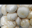 壹萌果蔬口蘑新鮮【順豐冷鏈】雙孢菇鮮菌菇白蘑菇菌菇口菇 【精選AA+級】1000g 曬單實(shí)拍圖