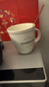 星巴克（Starbucks）薯條杯吸管水杯不銹鋼保溫保冷高顏值咖啡奶茶杯男女540ml教師節 曬單實(shí)拍圖