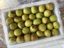 南步陜西大荔冬棗【順豐到家】特級(jí)牛奶蜜棗冰糖脆冬棗新鮮水果 1500g 精選特大果【單果20-25g】 曬單實(shí)拍圖