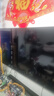 松下（Panasonic）電視PX680CP 65英寸 120Hz4K游戲電視 DeepSeek AI智能語(yǔ)音電視 TH-65PX680CP一級能效 曬單實(shí)拍圖