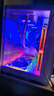 英特爾14代酷睿i5 14600KF系列 RTX5070 三角洲行動設計游戲臺式電腦主機DIY組裝電腦 配三：14600KF+RTX5060Ti 曬單實拍圖