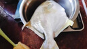 翔泰海南深海金鯧魚(yú)700g 2條 火鍋 生鮮魚(yú)類(lèi) BAP認證 海鮮水產(chǎn) 中秋 曬單實(shí)拍圖