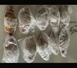 舟山梭子蟹鮮活特大野生大螃蟹新鮮冷凍海鮮水產(chǎn)海蟹飛蟹白蟹 凈重3-5兩/只【10只 碼頭直采】 曬單實(shí)拍圖