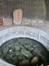 京覓去皮鮮核桃仁獨(dú)立小包裝【10包】200g 源頭直發(fā) 曬單實(shí)拍圖