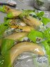 都樂Dole 菲律賓甜蕉2斤盒裝 香甜軟糯 生鮮水果 源頭直發(fā) 包郵 水果 曬單實拍圖