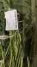 大菠菜300g 曬單實(shí)拍圖