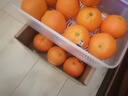 澳洲進(jìn)口臍橙澳大利亞甜橙子大果酸甜多汁當季新鮮水果 【品質(zhì)大果】單果230g+ 【愛(ài)吃囤貨更劃算】16顆 曬單實(shí)拍圖