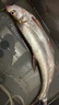 SHIMANO進(jìn)口尼龍海桿專(zhuān)用斑點(diǎn)魚(yú)線(xiàn)線(xiàn)主線(xiàn)線(xiàn)拋竿線(xiàn)線(xiàn)班點(diǎn)隱形海竿鉤魚(yú)線(xiàn)線(xiàn) 200米淡藍斑點(diǎn)子線(xiàn) 線(xiàn) 0.6號 曬單實(shí)拍圖