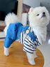 阿莫爾狗狗衣服秋冬款可牽引四腳背帶褲泰迪比熊博美小型犬寵物貓咪服裝 藍(lán)色【可牽引】 M(建議5-8斤具體參考胸圍背長(zhǎng)) 曬單實(shí)拍圖