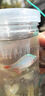 抓魚瓶兒童捕撈魚神器倒須不漏戶外小溪水庫塑料捉魚專用全套工具 大號加厚【抓魚瓶四件套】 【裝魚瓶+地插+餌料+手繩】 曬單實拍圖