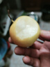 趣覓鮮鞍山南果梨香水梨子禮盒裝正宗東北特產(chǎn)南國梨子紅皮新鮮水果 5斤帶箱黃果40個左右 曬單實(shí)拍圖