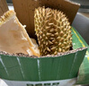源外泰國進(jìn)口金枕榴蓮老樹(shù)果 當季新鮮整個(gè)帶殼報恩水果熱帶水果鮮果 凈重3-4斤1個(gè) 曬單實(shí)拍圖